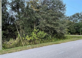 VERMONT STREET, ORLANDO, Florida 32820, ,Land,For Sale,VERMONT,O5981460