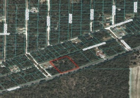 TBD STATE ROAD 40, OCALA, Florida 34482, ,Land,For Sale,STATE ROAD 40,OM629166