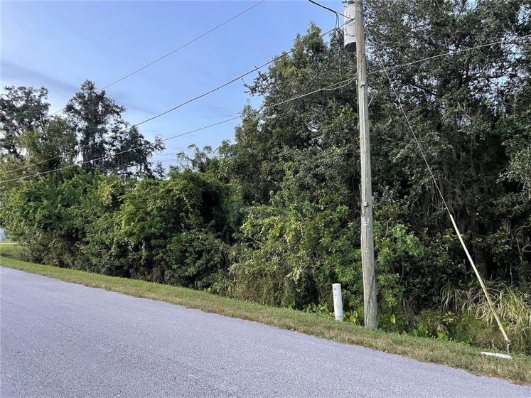 VERMONT STREET, ORLANDO, Florida 32820, ,Land,For Sale,VERMONT,O5981619
