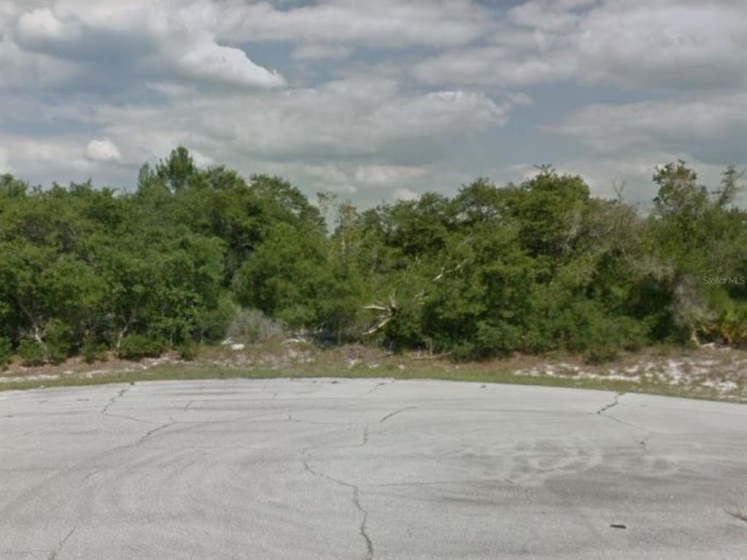 1203 WINSTON WAY, POINCIANA, Florida 34759, ,Land,For Sale,WINSTON,S5058189