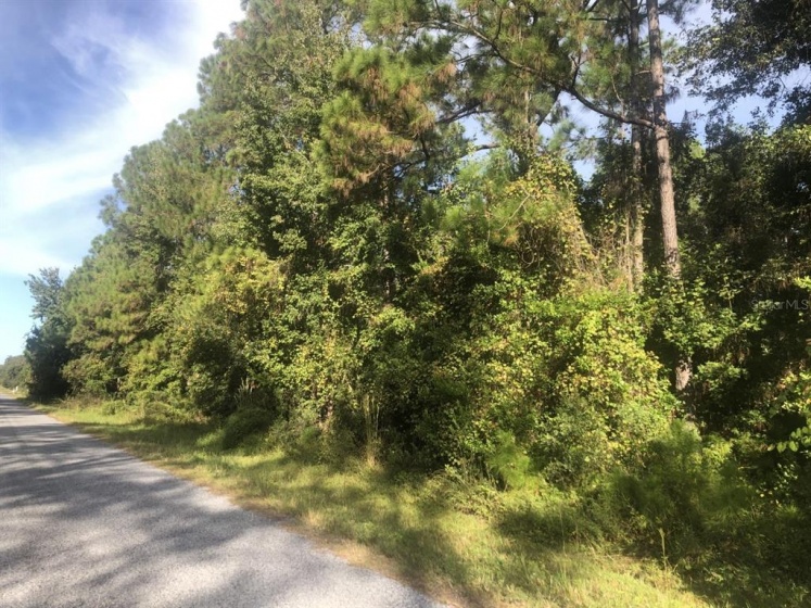 0 CHEROKEE TRL, KISSIMMEE, Florida 34747, ,Land,For Sale,CHEROKEE TRL,S5058261
