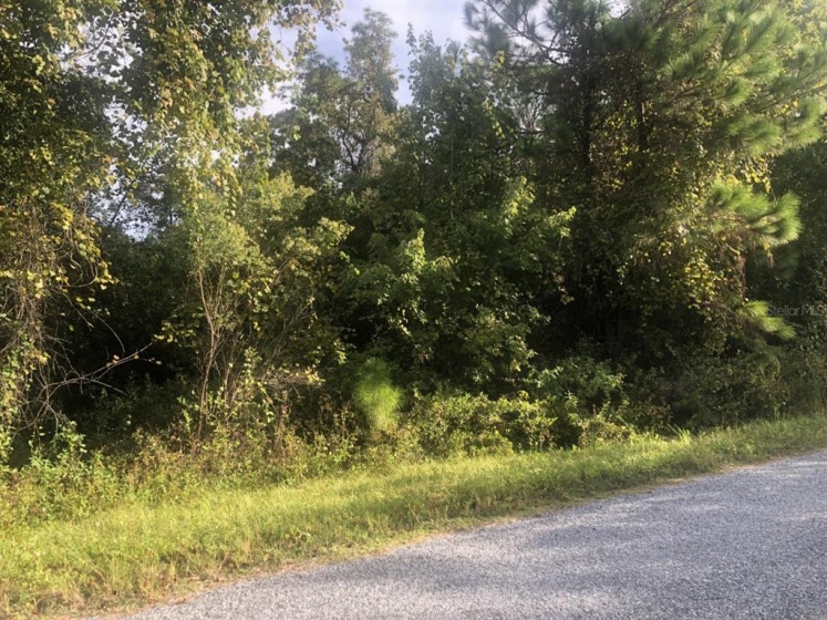 0 CHEROKEE TRL, KISSIMMEE, Florida 34747, ,Land,For Sale,CHEROKEE TRL,S5058261