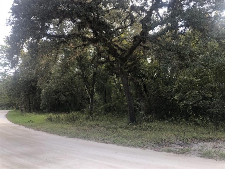 0 KEEFER TRL, KISSIMMEE, Florida 34747, ,Land,For Sale,KEEFER TRL,S5058267