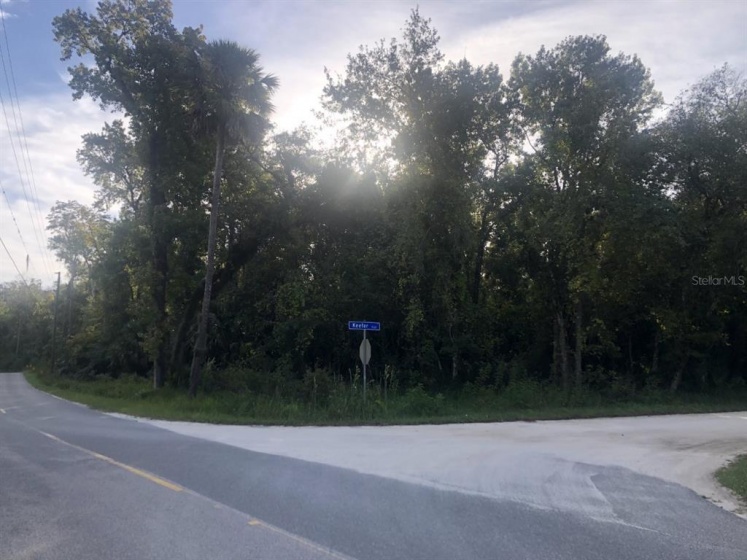 0 KEEFER TRL, KISSIMMEE, Florida 34747, ,Land,For Sale,KEEFER TRL,S5058267