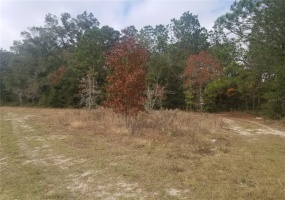 0 73 STREET, OCALA, Florida 34476, ,Land,For Sale,73,OM629207