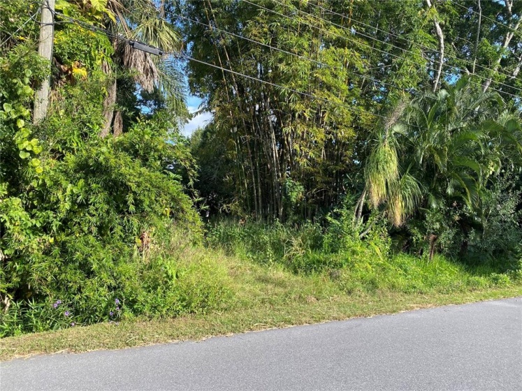 4035 ASBURY PLACE, SARASOTA, Florida 34233, ,Land,For Sale,ASBURY,A4515325