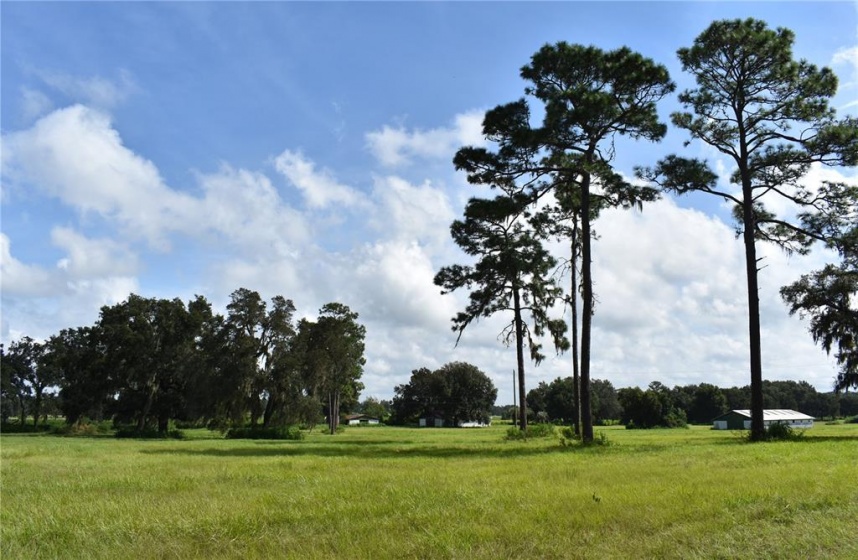 13931 16TH AVENUE, OCALA, Florida 34473, ,Land,For Sale,16TH,OM629368