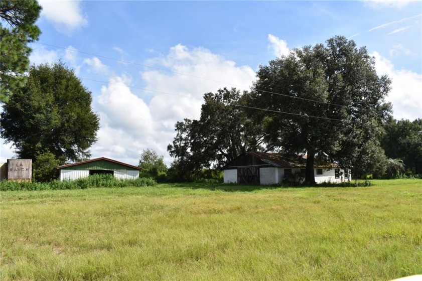 13931 16TH AVENUE, OCALA, Florida 34473, ,Land,For Sale,16TH,OM629368