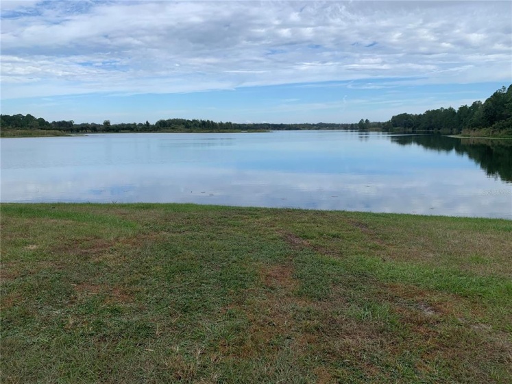 CLERMONT, Florida 34714, ,Land,For Sale,G5048190