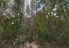 144TH PLACE, OCALA, Florida 34473, ,Land,For Sale,144TH,O5982062