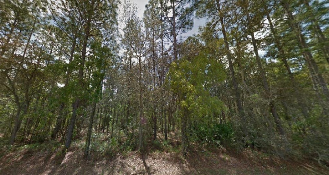144TH PLACE, OCALA, Florida 34473, ,Land,For Sale,144TH,O5982062
