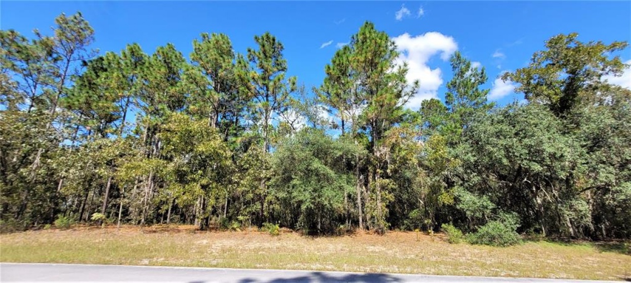 SW 152ND PLACE, OCALA, Florida 34473, ,Land,For Sale,SW 152ND,V4921763