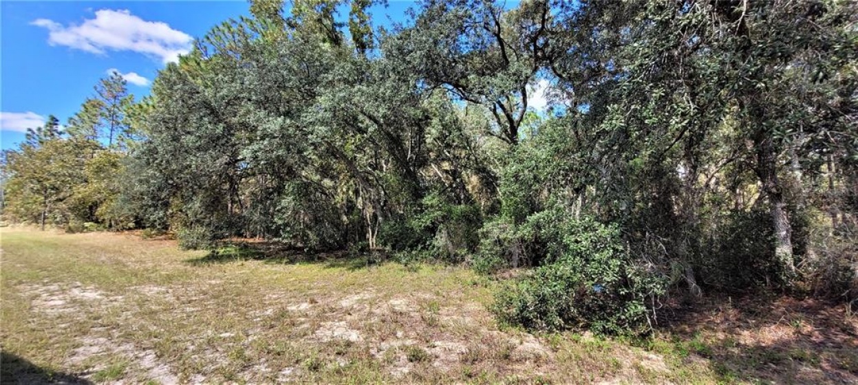 SW 152ND PLACE, OCALA, Florida 34473, ,Land,For Sale,SW 152ND,V4921763