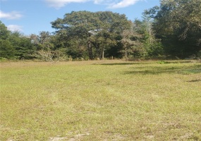 TBD 12TH ST, OCALA, Florida 34482, ,Land,For Sale,12TH ST,OM629382