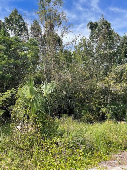 LOT 2 MARKHAM WOODS ROAD, LONGWOOD, Florida 32779, ,Land,For Sale,MARKHAM WOODS,O5981510