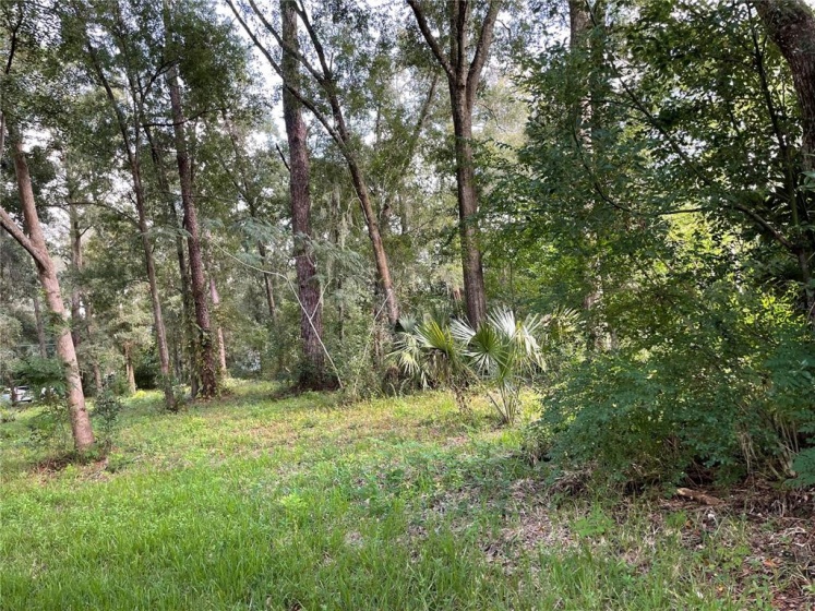 TBD 4TH AVENUE, OCALA, Florida 34475, ,Land,For Sale,4TH,OM629507