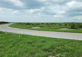 0 MURPHY ROAD, BARTOW, Florida 33830, ,Land,For Sale,MURPHY,B4900774