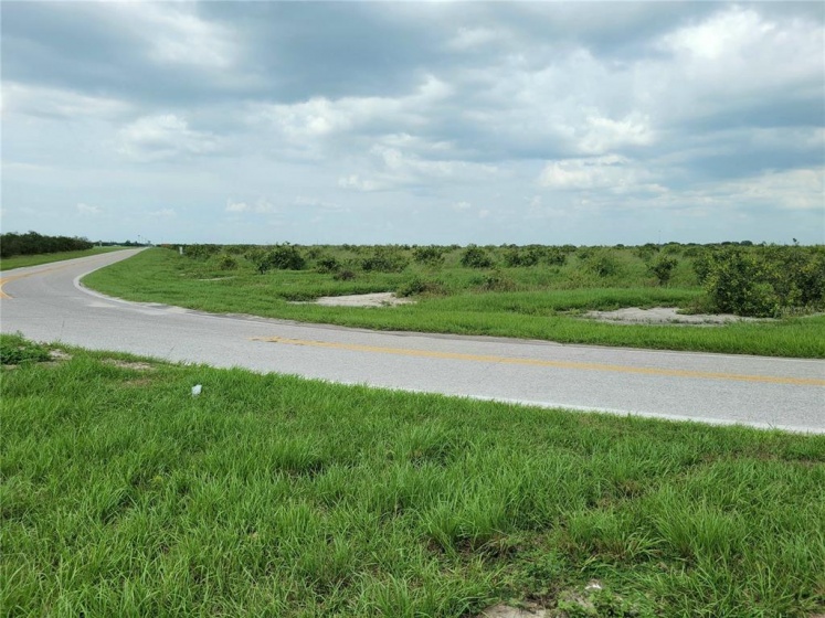 0 MURPHY ROAD, BARTOW, Florida 33830, ,Land,For Sale,MURPHY,B4900774