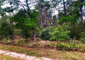 Lot 266 115TH STREET, OCALA, Florida 34476, ,Land,For Sale,115TH,OM629581