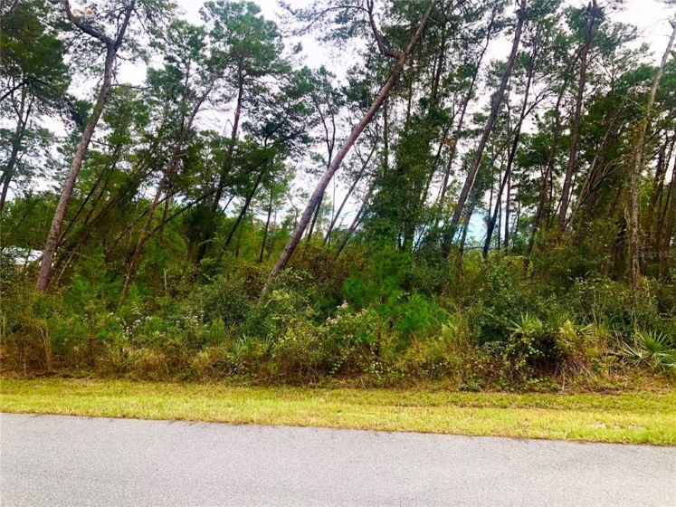 Lot 266 115TH STREET, OCALA, Florida 34476, ,Land,For Sale,115TH,OM629581