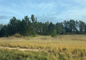 US HWY 27, MINNEOLA, Florida 34715, ,Land,For Sale,US HWY 27,O5983402