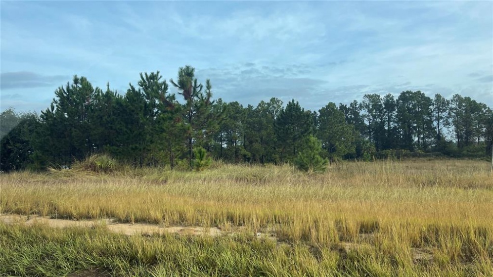 US HWY 27, MINNEOLA, Florida 34715, ,Land,For Sale,US HWY 27,O5983402