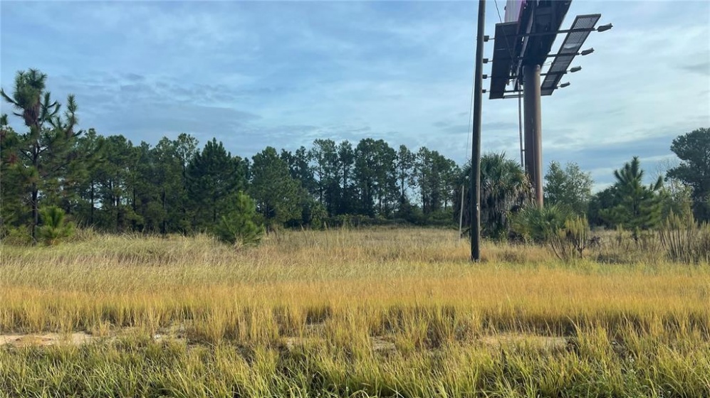 US HWY 27, MINNEOLA, Florida 34715, ,Land,For Sale,US HWY 27,O5983402