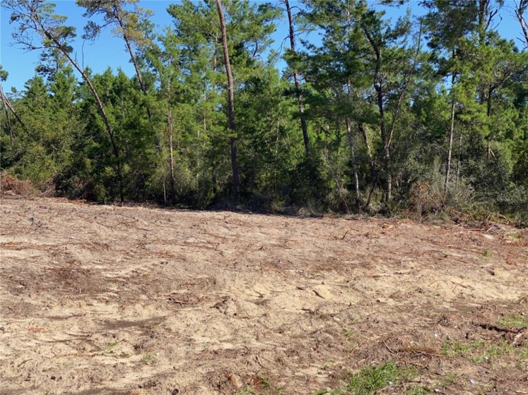 00 MARION OAKS LN, OCALA, Florida 34470, ,Land,For Sale,MARION OAKS LN,OM628379