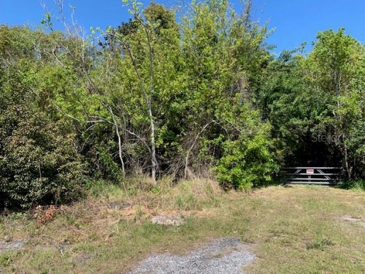 1290 CINDER LANE, KISSIMMEE, Florida 34744, ,Land,For Sale,CINDER,S5031726