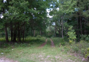 0 80TH PLACE, OCALA, Florida 34482, ,Land,For Sale,80TH,T3315613