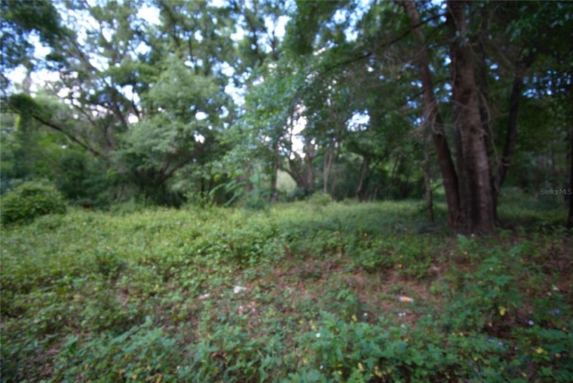 0 80TH PLACE, OCALA, Florida 34482, ,Land,For Sale,80TH,T3315613