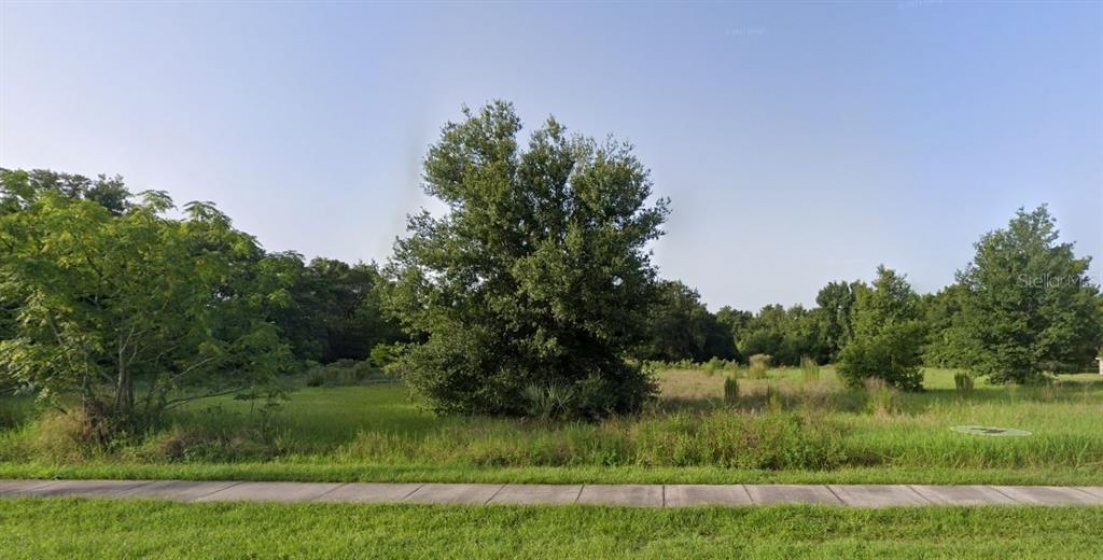 10502 MOORE ROAD, GOTHA, Florida 34734, ,Land,For Sale,MOORE,O5967916