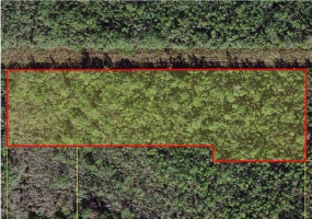 0 THACKER TRAIL, KISSIMMEE, Florida 34747, ,Land,For Sale,THACKER,O5984011