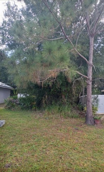 953 ALSACE DRIVE, KISSIMMEE, Florida 34759, ,Land,For Sale,ALSACE,S5058078