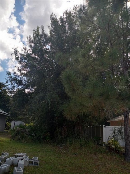 953 ALSACE DRIVE, KISSIMMEE, Florida 34759, ,Land,For Sale,ALSACE,S5058078