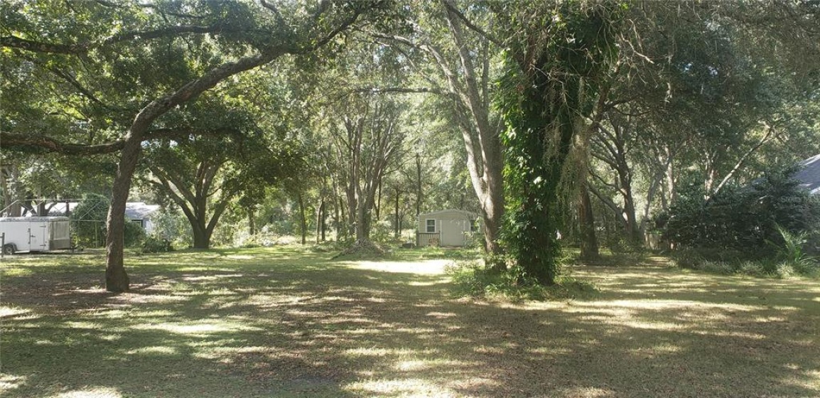 DELLS COVE ROAD, GROVELAND, Florida 34736, ,Land,For Sale,DELLS COVE,O5984762
