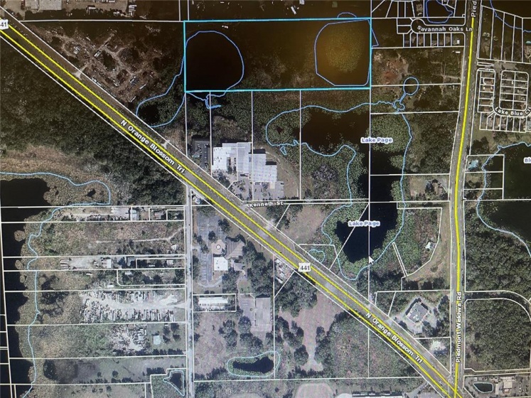 1225 LAKE PLEASANT ROAD, APOPKA, Florida 32703, ,Land,For Sale,LAKE PLEASANT,G5041676
