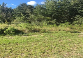 0 SW 48TH CIRCLE, OCALA, Florida 34473, ,Land,For Sale,0 SW 48TH CIRCLE,OM630234