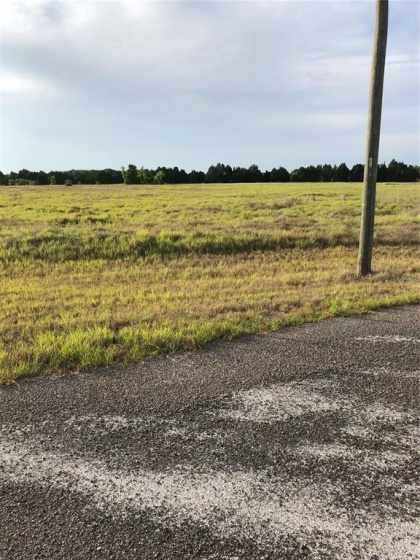 HAMMOCK GROVE ROAD, GROVELAND, Florida 34736, ,Land,For Sale,HAMMOCK GROVE,O5943150