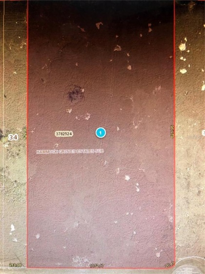HAMMOCK GROVE ROAD, GROVELAND, Florida 34736, ,Land,For Sale,HAMMOCK GROVE,O5943150