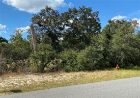 0 48TH CIRCLE, OCALA, Florida 34473, ,Land,For Sale,48TH,OM629260