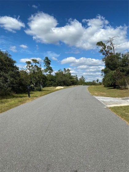 0 48TH CIRCLE, OCALA, Florida 34473, ,Land,For Sale,48TH,OM629260