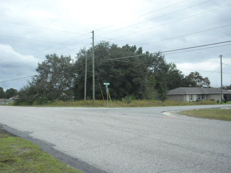 Lot 1 DOGWOOD DRIVE, OCALA, Florida 34472, ,Land,For Sale,DOGWOOD,OM630516