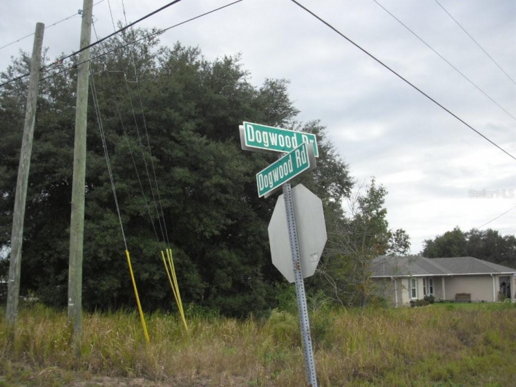 Lot 1 DOGWOOD DRIVE, OCALA, Florida 34472, ,Land,For Sale,DOGWOOD,OM630516