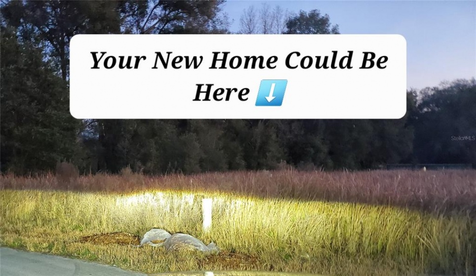 0000 DOGWOOD TRAIL CT, OCALA, Florida 34472, ,Land,For Sale,0000 DOGWOOD TRAIL CT,OM619387