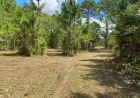 COUNTRY WORLD DRIVE, DAVENPORT, Florida 33897, ,Land,For Sale,COUNTRY WORLD,S5058292