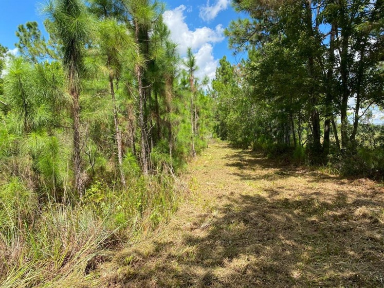 COUNTRY WORLD DRIVE, DAVENPORT, Florida 33897, ,Land,For Sale,COUNTRY WORLD,S5058292