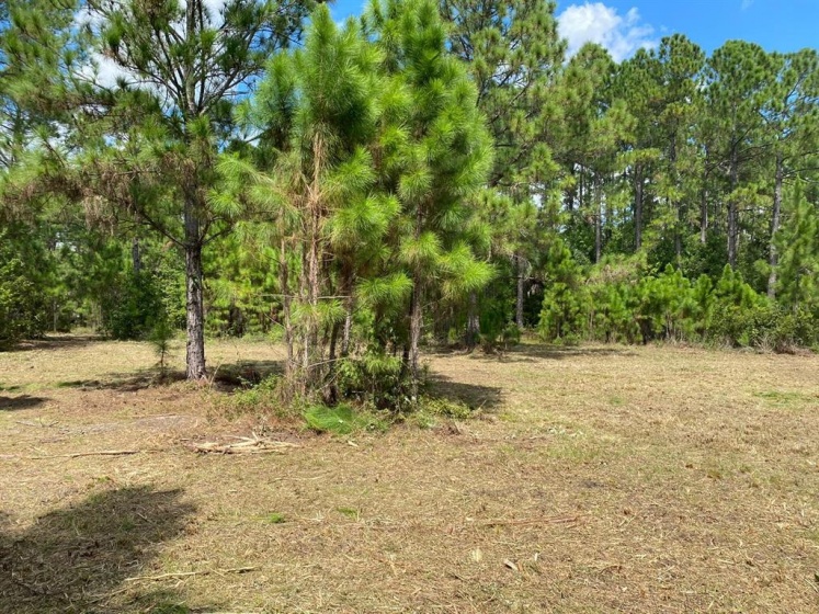 COUNTRY WORLD DRIVE, DAVENPORT, Florida 33897, ,Land,For Sale,COUNTRY WORLD,S5058292