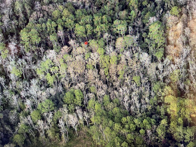 GOODMAN ROAD, KISSIMMEE, Florida 34747, ,Land,For Sale,GOODMAN,O5986153