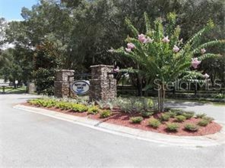 5044 LAKESHORE RANCH ROAD, GROVELAND, Florida 34736, ,Land,For Sale,LAKESHORE RANCH,G5042700